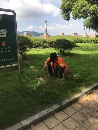 梧州市园林绿化工程处日常管养工作动态(7月29日)