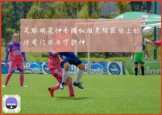 足球明星神手揭秘谁是绿茵场上的传奇门将与守护神
