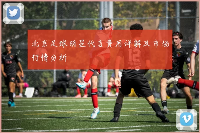 北京足球明星代言费用详解及市场行情分析