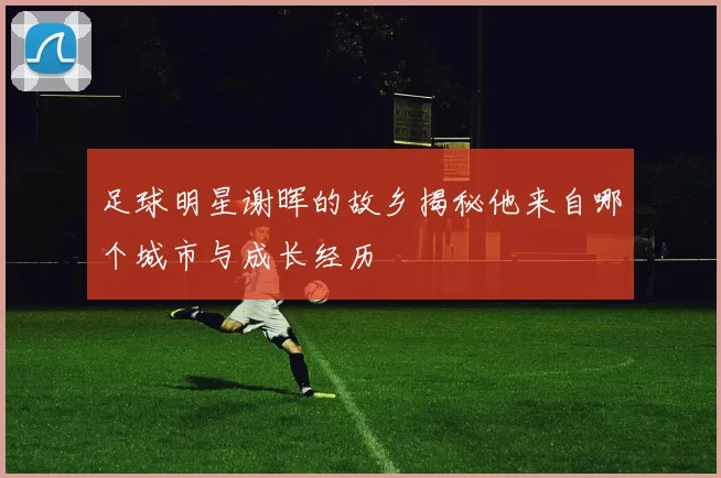 足球明星谢晖的故乡揭秘他来自哪个城市与成长经历