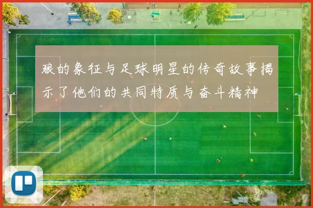 狼的象征与足球明星的传奇故事揭示了他们的共同特质与奋斗精神