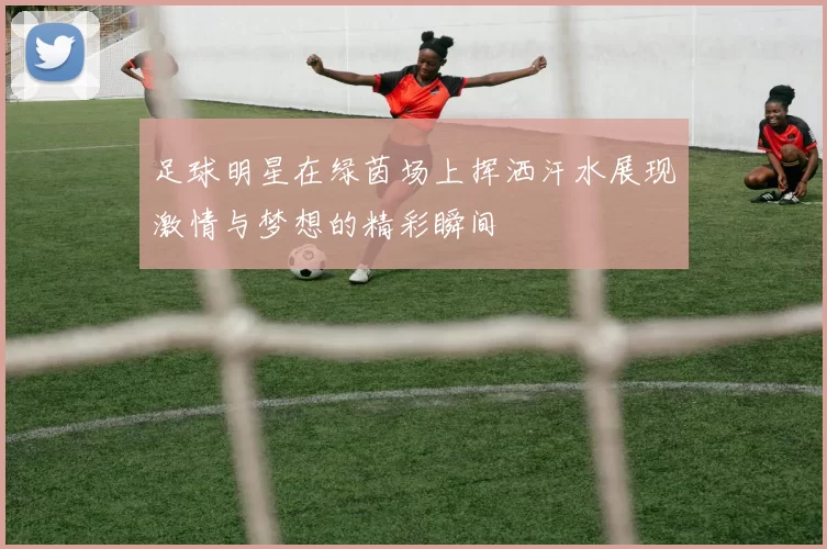 足球明星在绿茵场上挥洒汗水展现激情与梦想的精彩瞬间