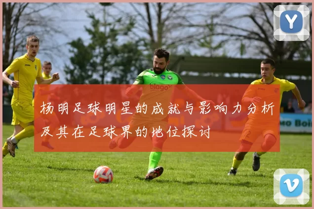 杨明足球明星的成就与影响力分析及其在足球界的地位探讨