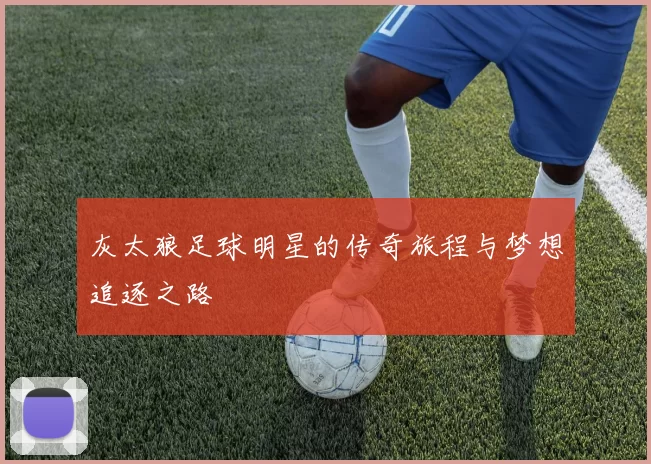 灰太狼足球明星的传奇旅程与梦想追逐之路
