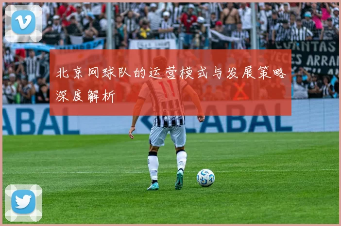 北京网球队的运营模式与发展策略深度解析