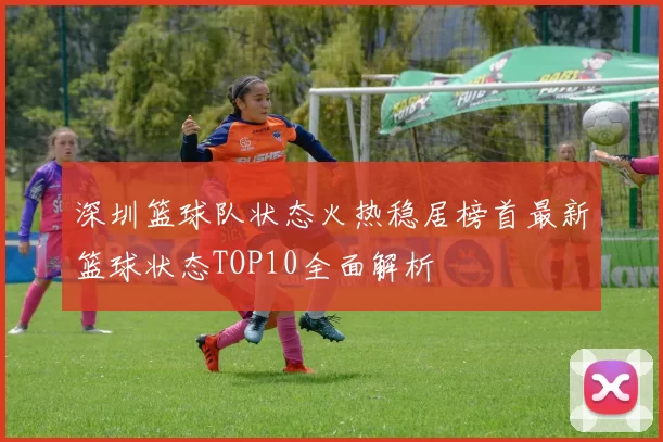 深圳篮球队状态火热稳居榜首最新篮球状态TOP10全面解析