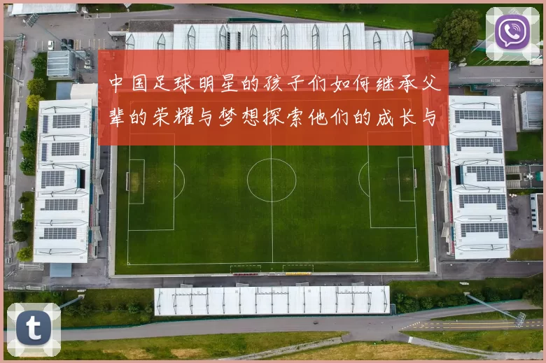 中国足球明星的孩子们如何继承父辈的荣耀与梦想探索他们的成长与未来之路