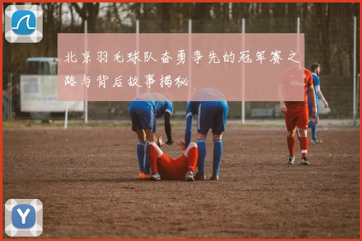 北京羽毛球队奋勇争先的冠军赛之路与背后故事揭秘